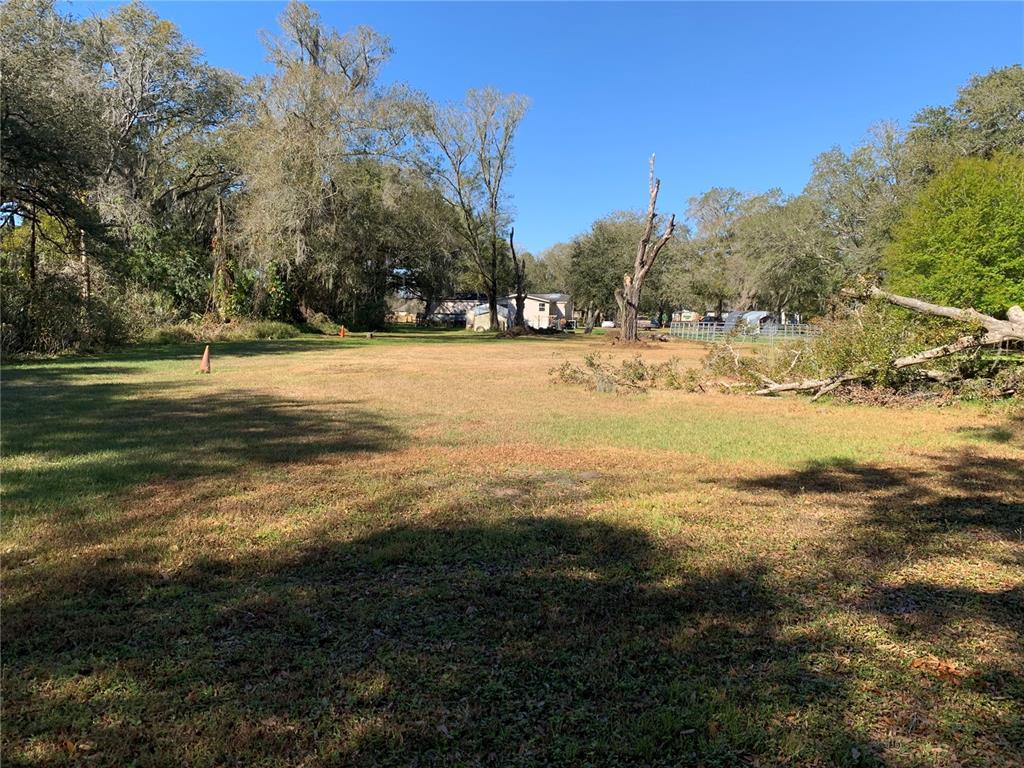 A large, grassy, open lot is surrounded by mature trees under a clear blue sky — 5614 WATSON, RIVERVIEW, FL