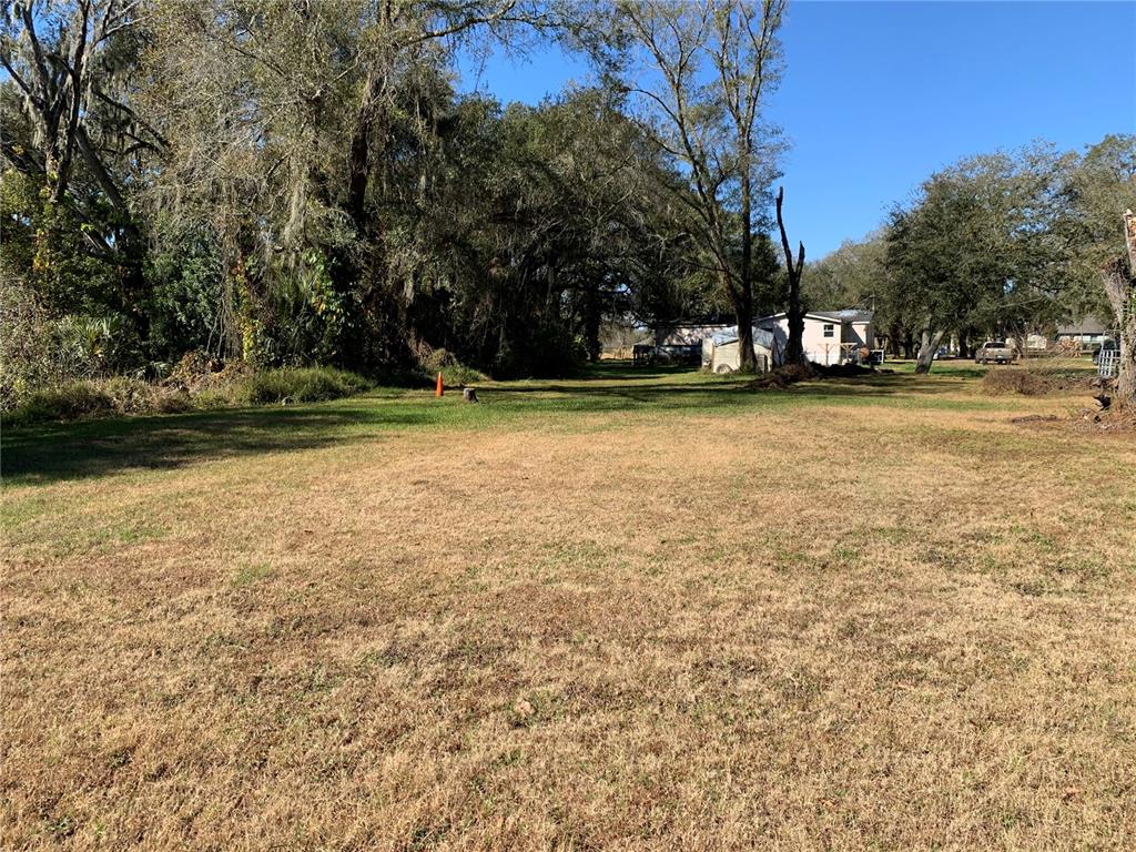 A large, grassy, vacant lot is bordered by mature trees under a clear blue sky — 5614 WATSON, RIVERVIEW, FL