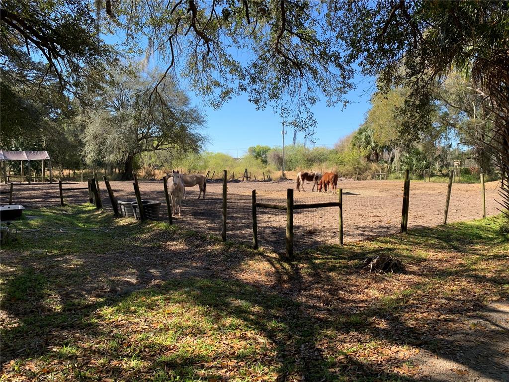 A fenced dirt paddock contains three horses under the shade of large trees — 5614 WATSON, RIVERVIEW, FL