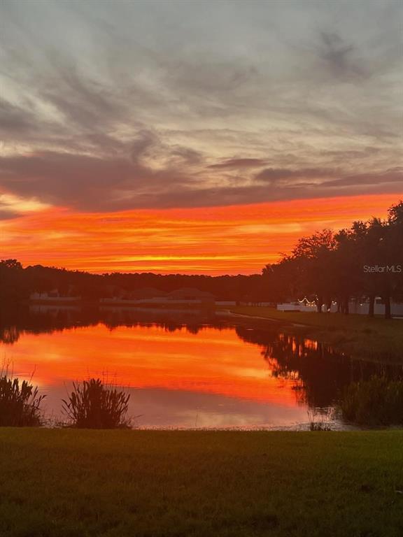 18022 LAKE REFLECTIONS BOULEVARD, LUTZ, FL — photo 2 of 30