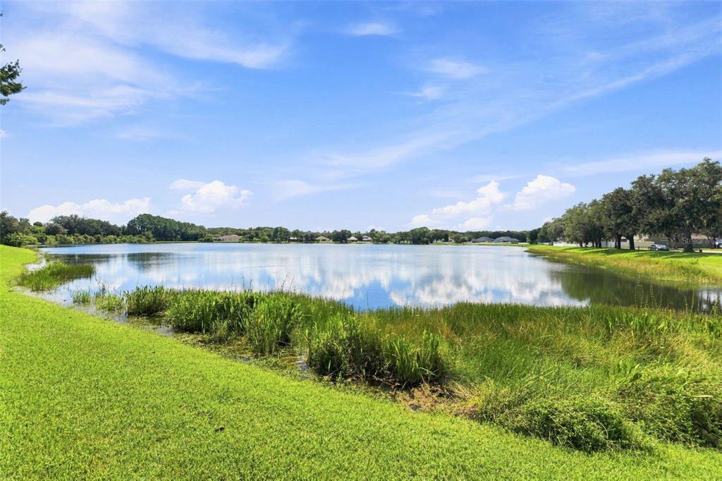 18022 LAKE REFLECTIONS BOULEVARD, LUTZ, FL — photo 3 of 30