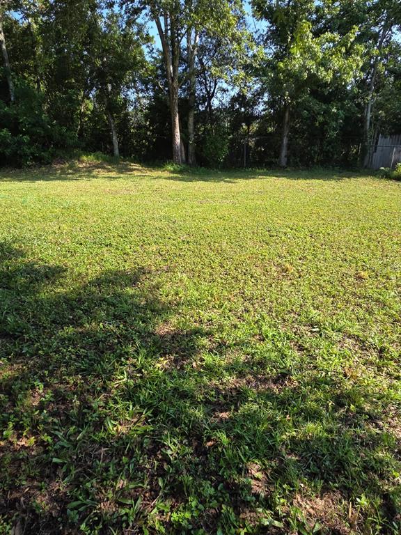 A large, grassy backyard features mature trees along the back fence line — 18341 12TH AVENUE, ORLANDO, FL