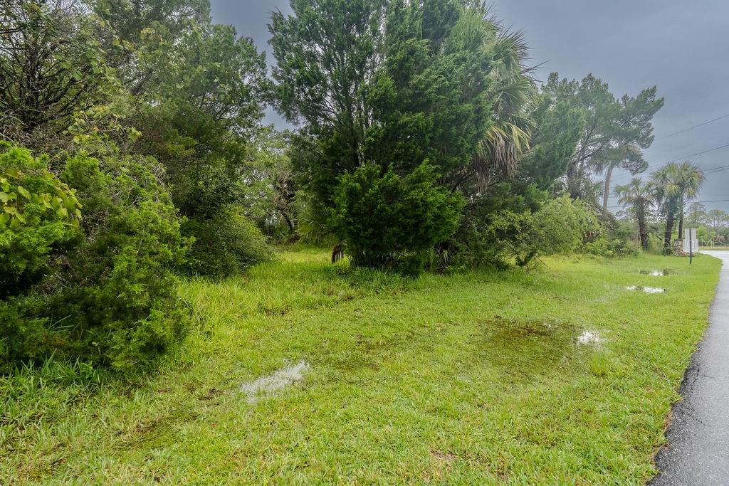 0 Palm DRIVE, YANKEETOWN, FL — photo 3 of 15