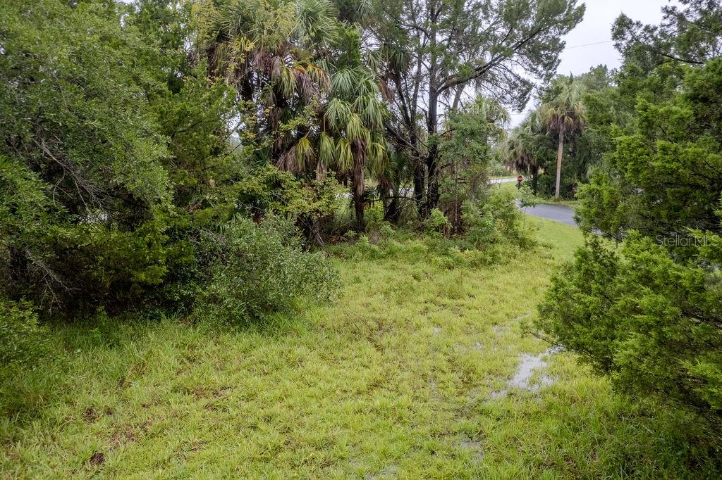 0 Palm DRIVE, YANKEETOWN, FL — photo 4 of 15