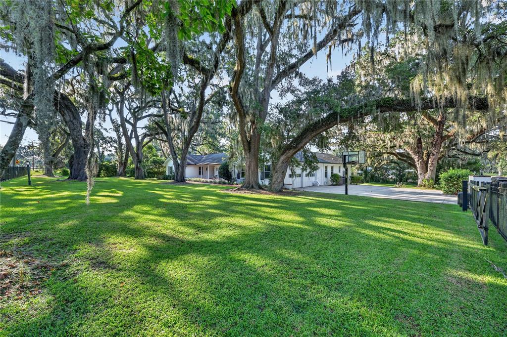 A large grassy yard with mature oak trees and a basketball court near a house — 1311 SE 17TH AVENUE, OCALA, FL