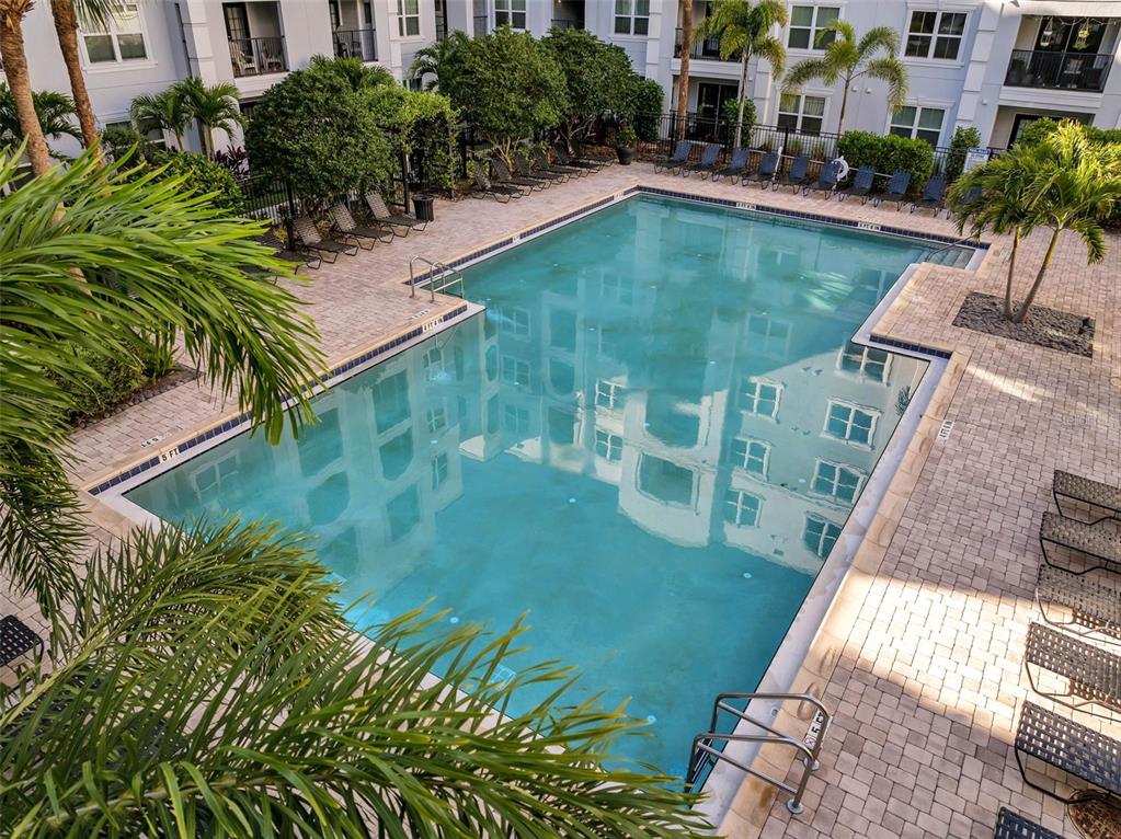 An outdoor swimming pool surrounded by a paved deck, lounge chairs, and palm trees — 300 E SOUTH STREET UNIT 2001, ORLANDO, FL