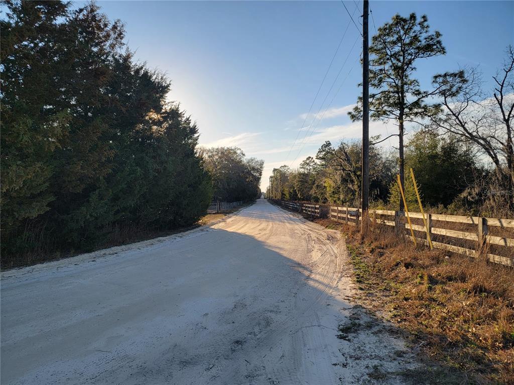 A dirt road stretches between a line of trees and a wooden fence — 0 NE 20TH STREET, WILLISTON, FL