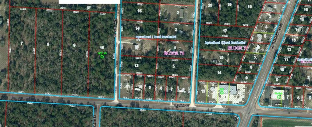 SE 30TH STREET, MORRISTON, FL — photo 5 of 6