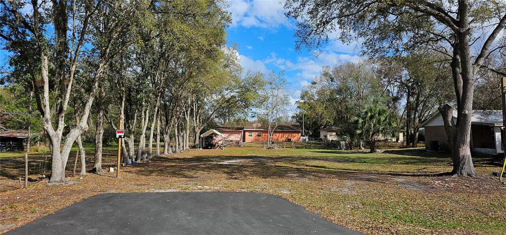 IMMOKALEE STREET