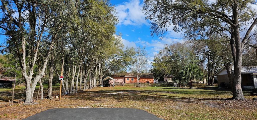A vacant, grassy lot with mature trees and a distant orange house — IMMOKALEE STREET, INTERCESSION CITY, FL