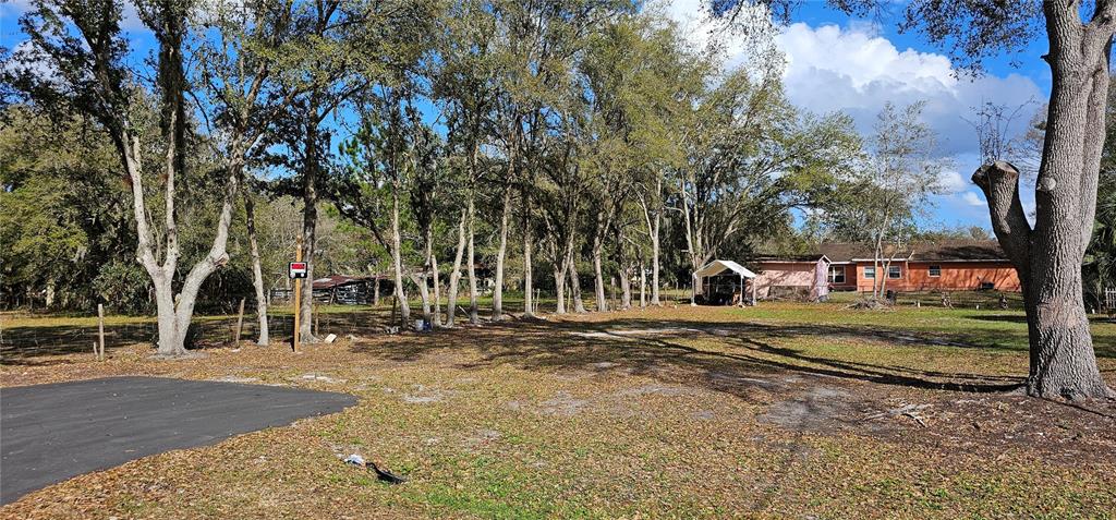 A large, grassy lot features several tall trees and a house in the background — IMMOKALEE STREET, INTERCESSION CITY, FL