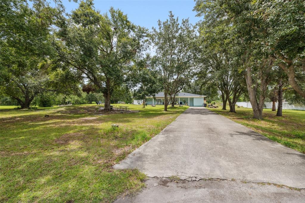 A long concrete driveway leads to a single-story house surrounded by large, mature trees — 4527 REDCOAT DRIVE, WESLEY CHAPEL, FL