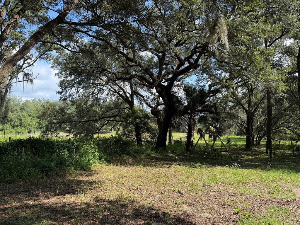 11324 EM EN EL GROVE ROAD, LEESBURG, FL — photo 3 of 29