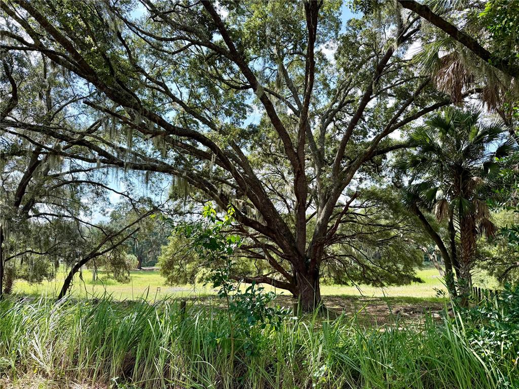 11324 EM EN EL GROVE ROAD, LEESBURG, FL — photo 4 of 29