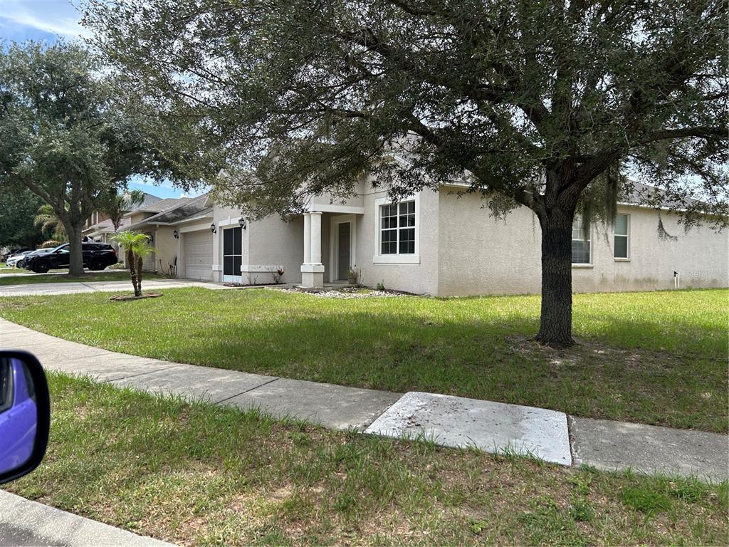 A single-story house with a beige stucco exterior, a front porch, and a large shade tree — 13042 HAVERHILL DRIVE, SPRING HILL, FL