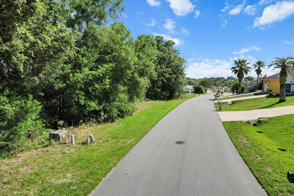 A paved road curves past a grassy lot bordered by dense trees and suburban houses — 911 W COLBERT COURT, BEVERLY HILLS, FL