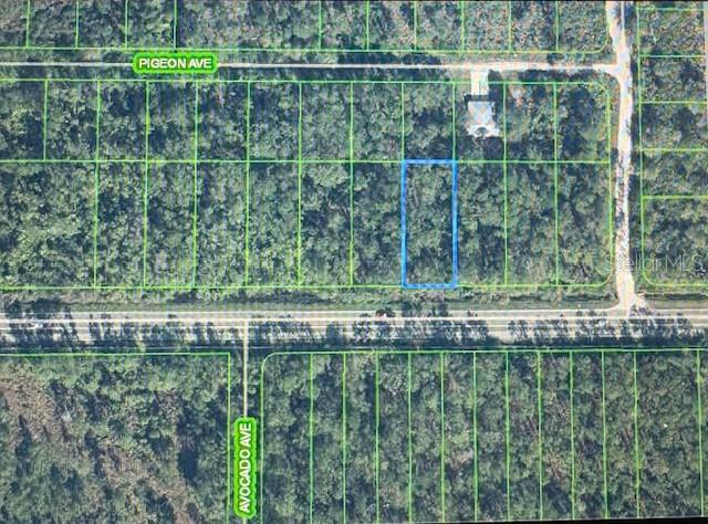 An aerial map shows a rectangular plot of land highlighted in blue near a road — 2600 HAMMOCK ROAD, SEBRING, FL