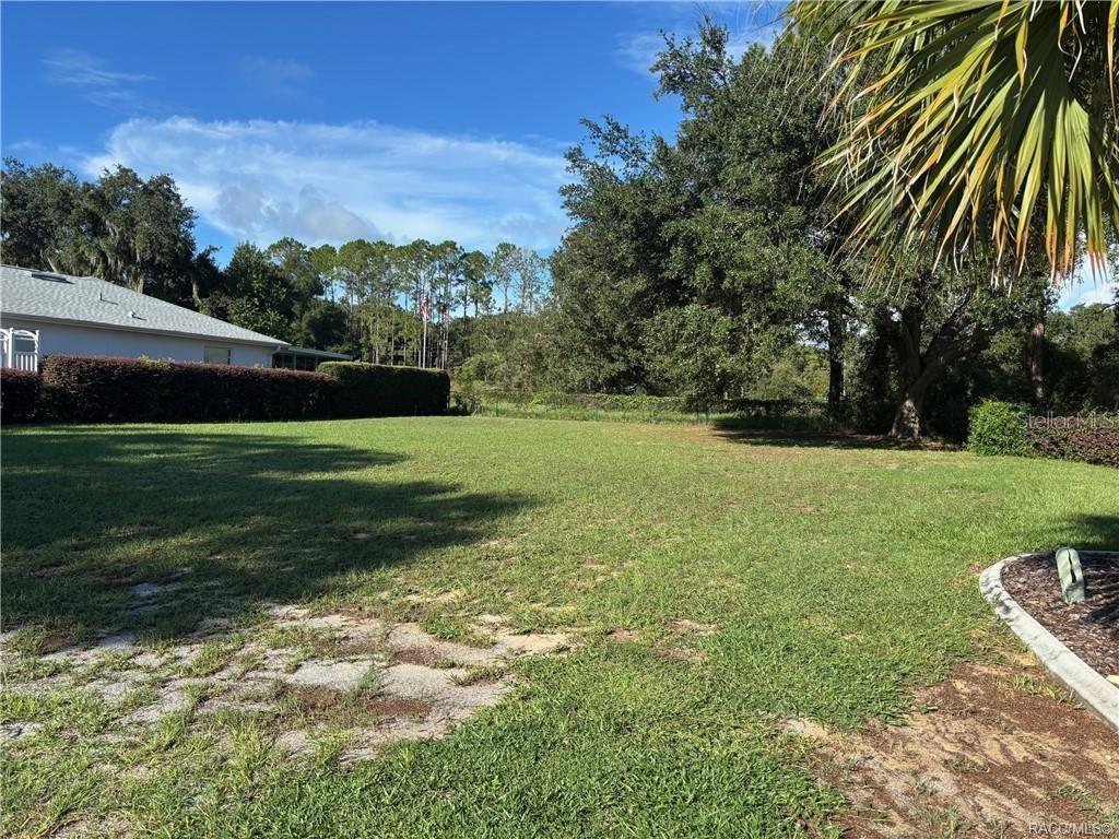 3516 E COVE PARK TRAIL, HERNANDO, FL — photo 3 of 30