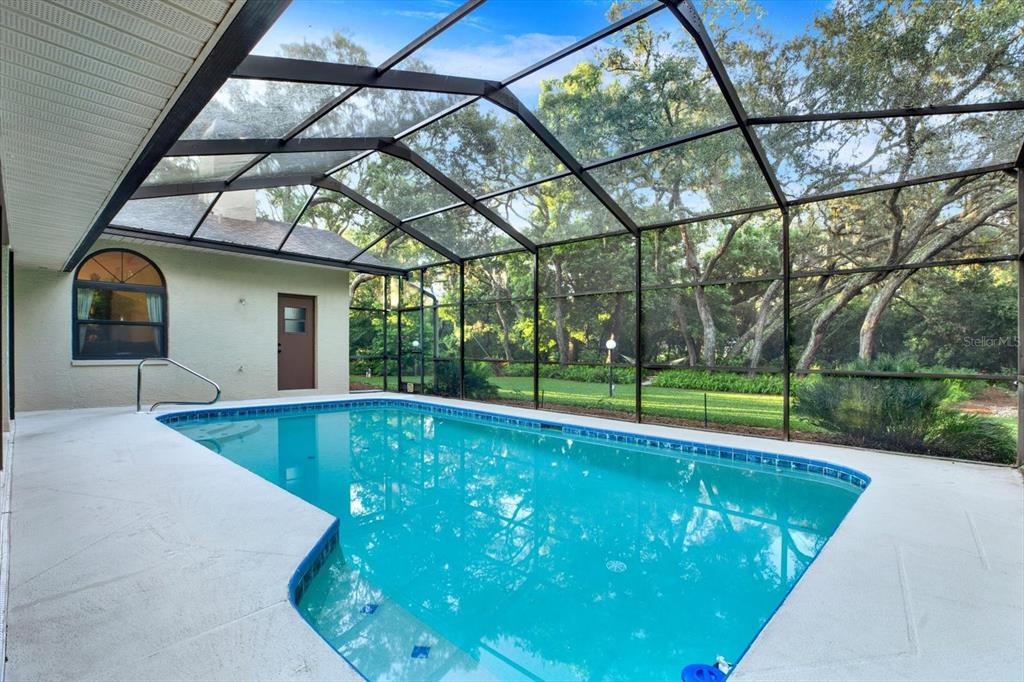 A swimming pool is enclosed by a screen cage on a concrete patio — 18671 AUTUMN LAKE AVENUE, HUDSON, FL