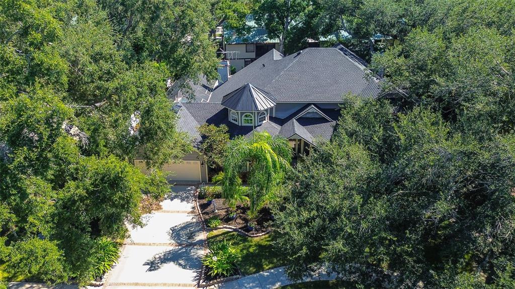 2665 BEAGLE PATH WAY, PALM HARBOR, FL — photo 5 of 100