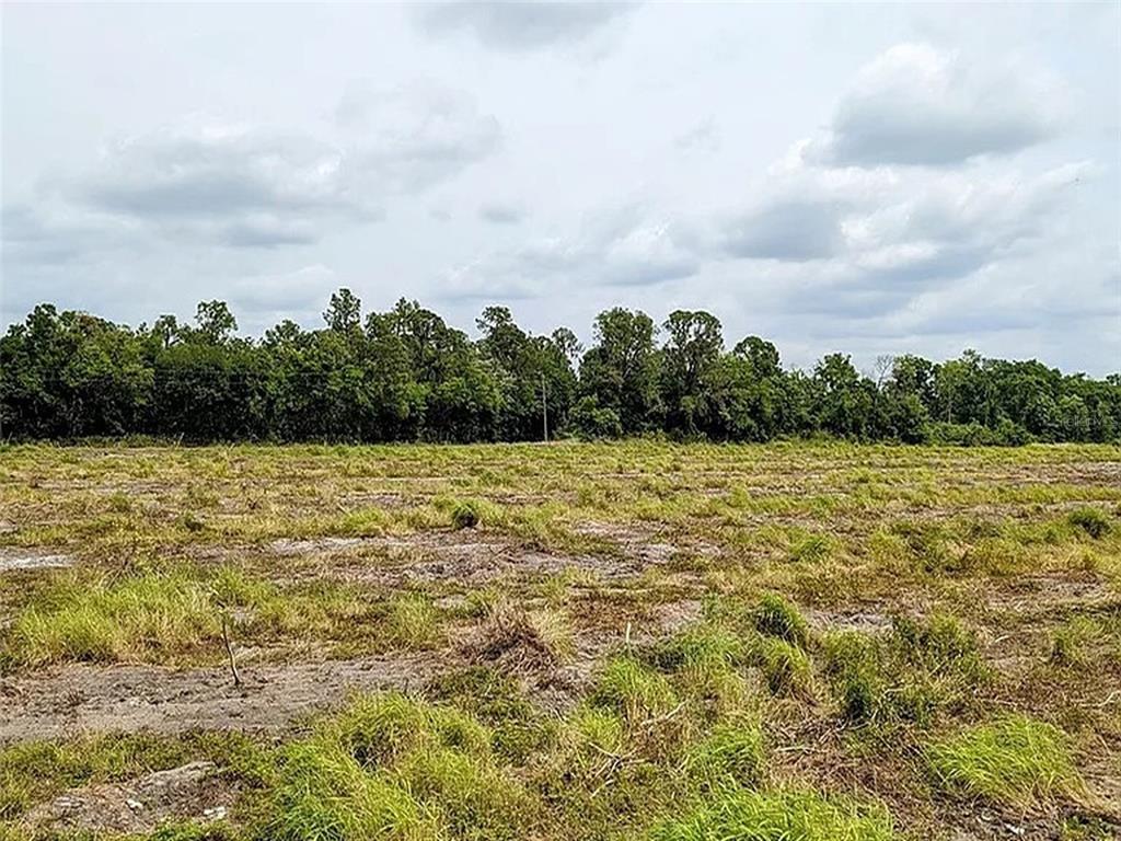 A wide, flat, grassy field stretches toward a dense line of trees under a cloudy sky — KEENTOWN ROAD, PARRISH, FL