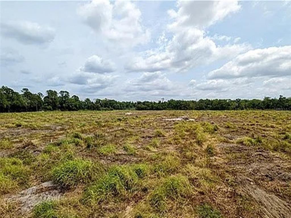 A wide, flat, cleared grassy lot is bordered by a line of trees under a cloudy sky — KEENTOWN ROAD, PARRISH, FL