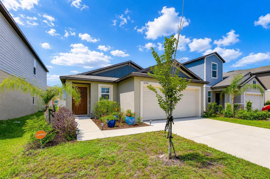 35099 ACKLEY TRACE