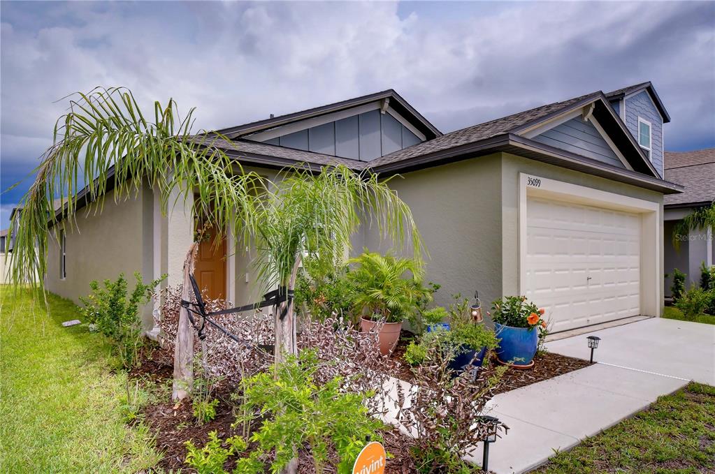 A single-story house with a beige stucco exterior, a two-car garage, and a front garden — 35099 ACKLEY TRACE, ZEPHYRHILLS, FL