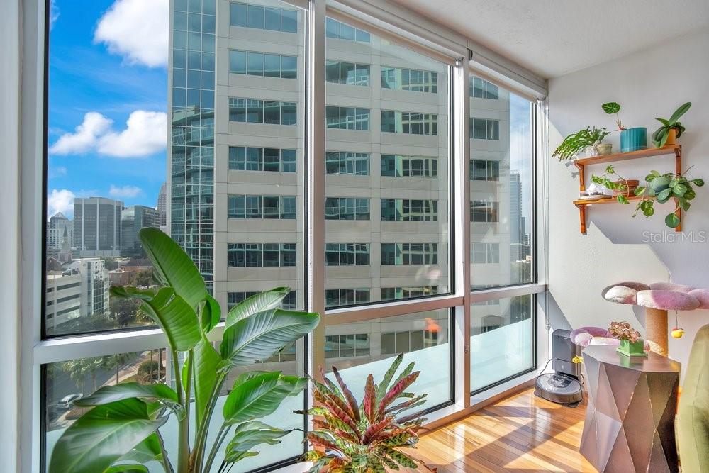 A sunlit room features floor-to-ceiling windows, hardwood floors, indoor plants, and a cat tree — 322 E CENTRAL BOULEVARD UNIT 1005, ORLANDO, FL