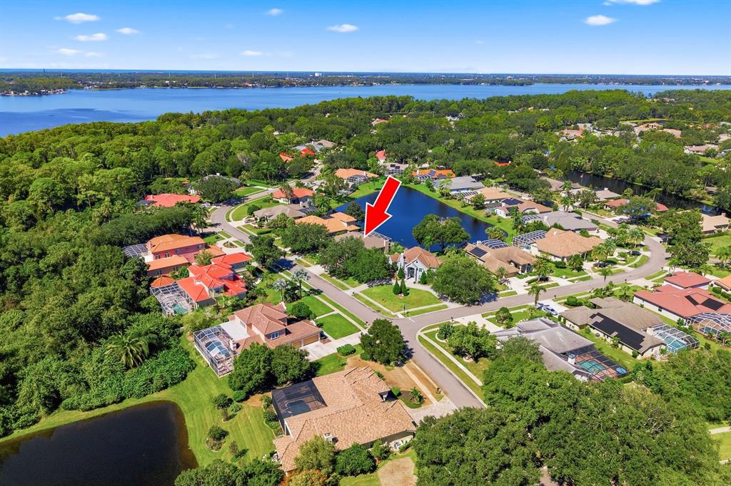 3763 EXECUTIVE DRIVE, PALM HARBOR, FL — photo 2 of 89