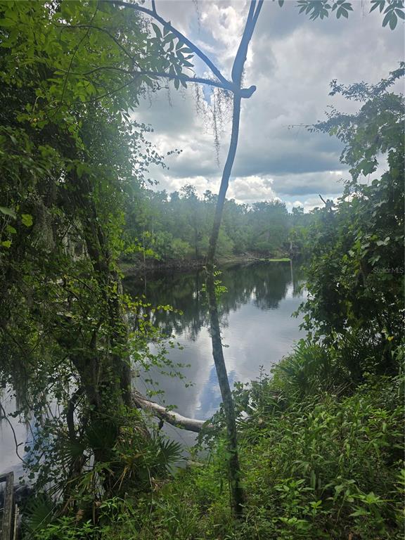 00 RUNNING SPRINGS DRIVE, LIVE OAK, FL — photo 2 of 11