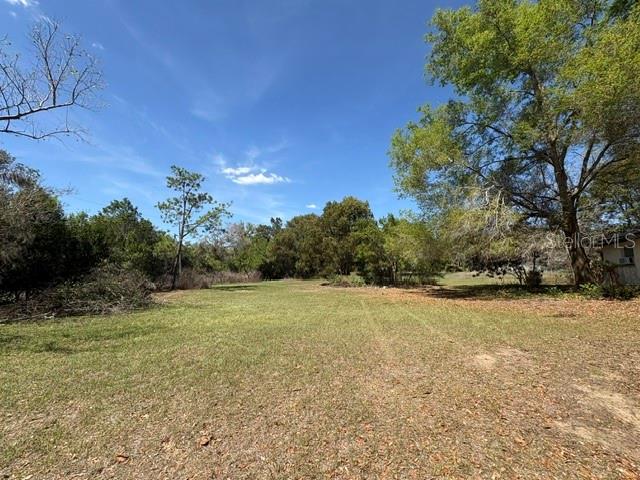 A grassy, open lot is surrounded by mature trees under a clear blue sky — 37247 NORTHSIDE DRIVE, ZEPHYRHILLS, FL