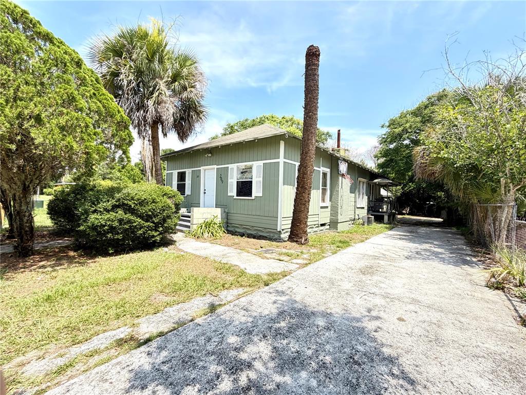 A light green, single-story house with a concrete driveway and a tall palm tree trunk — 209 AVENUE C NE, WINTER HAVEN, FL