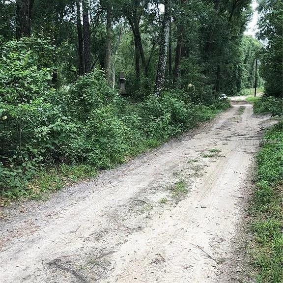 A dirt road winds through a wooded area with dense green vegetation — 20316 BALDPATE ROAD, ALTOONA, FL