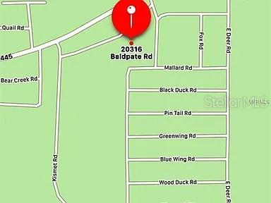 This is a map showing the location of a property near several local roads — 20316 BALDPATE ROAD, ALTOONA, FL