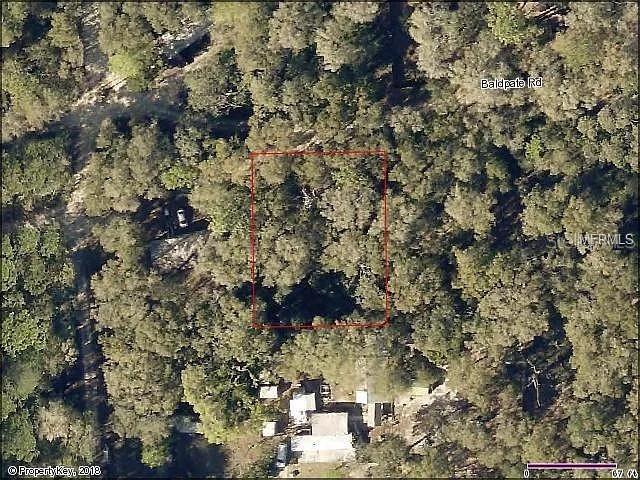 An aerial view shows a rectangular property boundary outlined in red over a wooded lot — 20316 BALDPATE ROAD, ALTOONA, FL