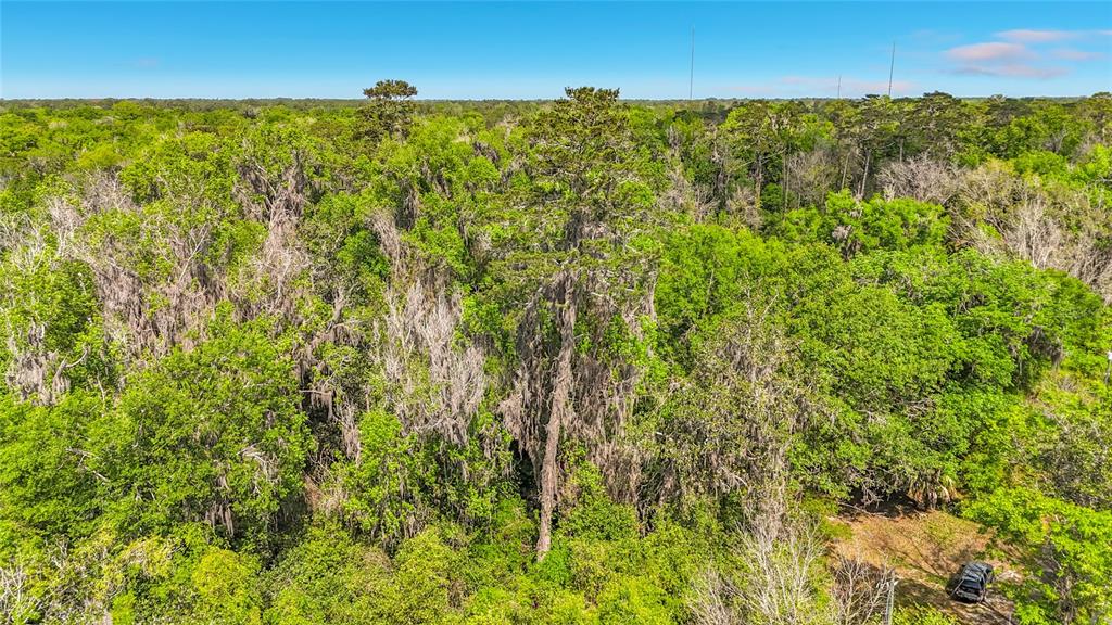 An aerial view shows a dense forest with a tall tree covered in Spanish moss — Lot 000 NW 39TH AVENUE, GAINESVILLE, FL