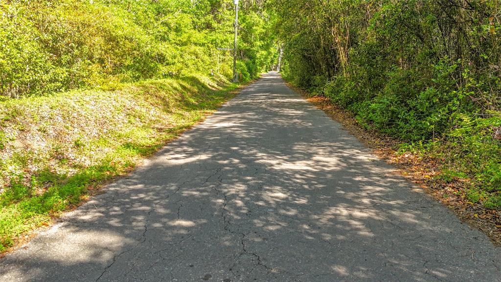 A narrow paved road stretches through a lush, tree-lined area under bright sunlight — Lot 000 NW 39TH AVENUE, GAINESVILLE, FL