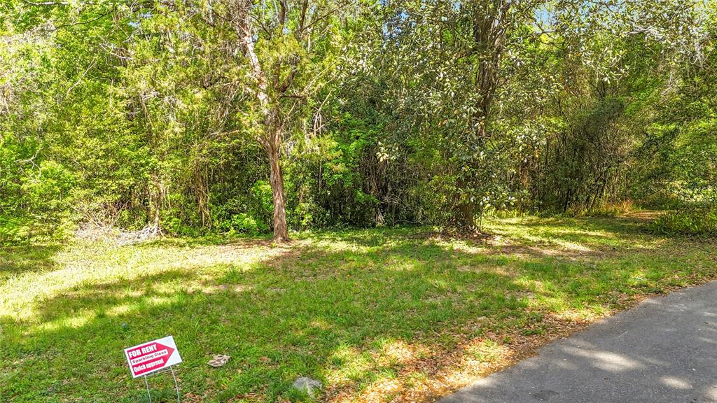 A grassy, wooded lot sits adjacent to a paved road with a for rent sign — Lot 000 NW 39TH AVENUE, GAINESVILLE, FL