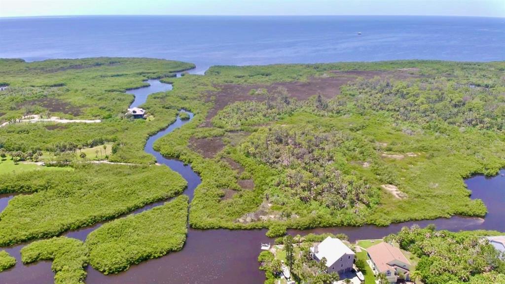 An aerial view shows houses situated along a winding waterway surrounded by dense coastal vegetation — WELLS COURT, PORT RICHEY, FL