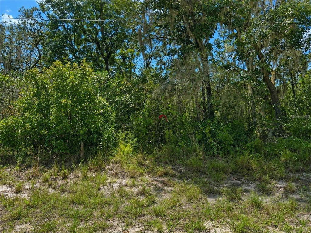 0 RIVERSTONE ST UNIT Hernando, WEBSTER, FL — photo 5 of 7
