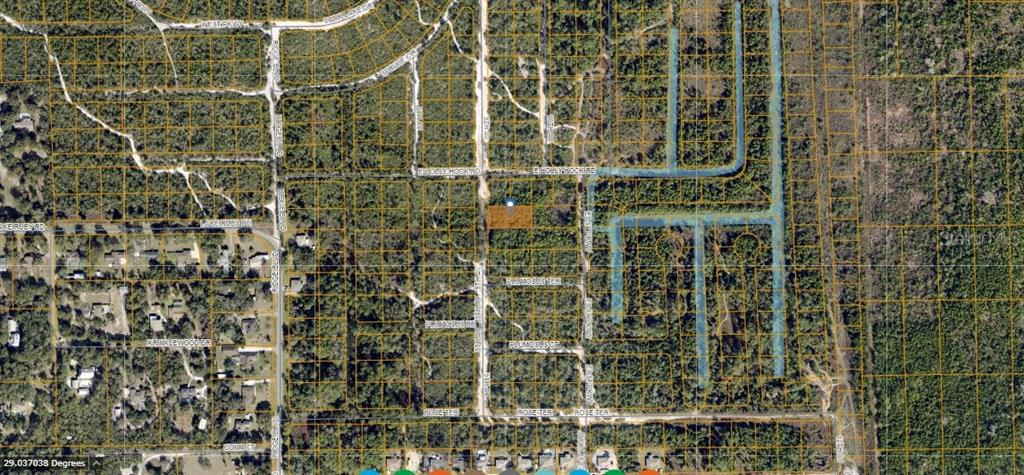 This aerial map shows a rectangular parcel of land highlighted in orange within a wooded area — HOLLYHOCK E, DELAND, FL