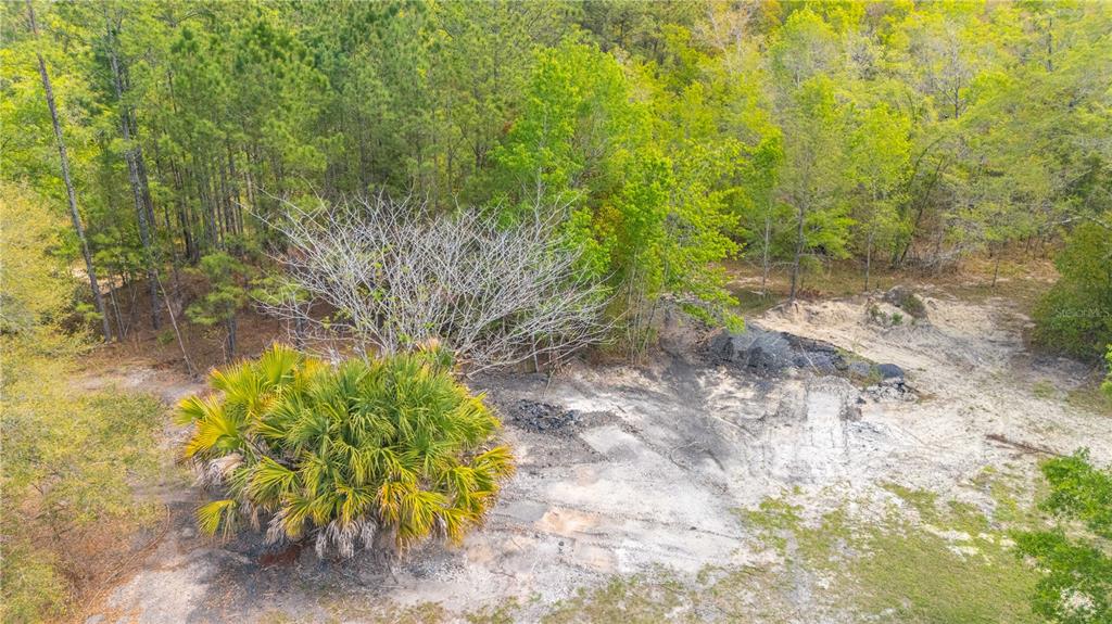 An aerial view of a cleared, sandy lot with a large palm and surrounding trees — COUNTY ROAD 218, JACKSONVILLE, FL