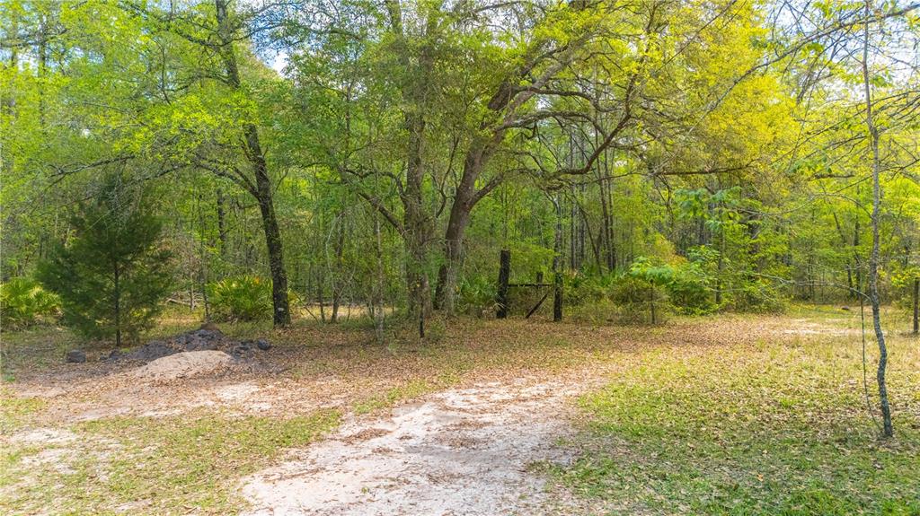 A dirt path leads toward a wooded area with a small gate and dense trees — COUNTY ROAD 218, JACKSONVILLE, FL