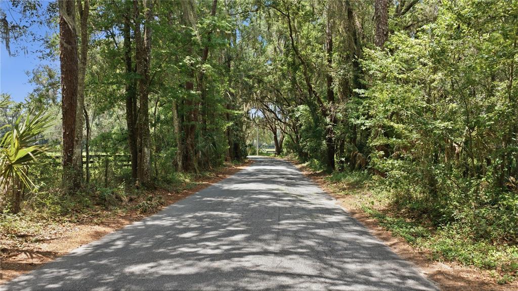A paved road winds through a dense forest with tall trees draped in Spanish moss — 17400 NW 120TH AVE ROAD, REDDICK, FL
