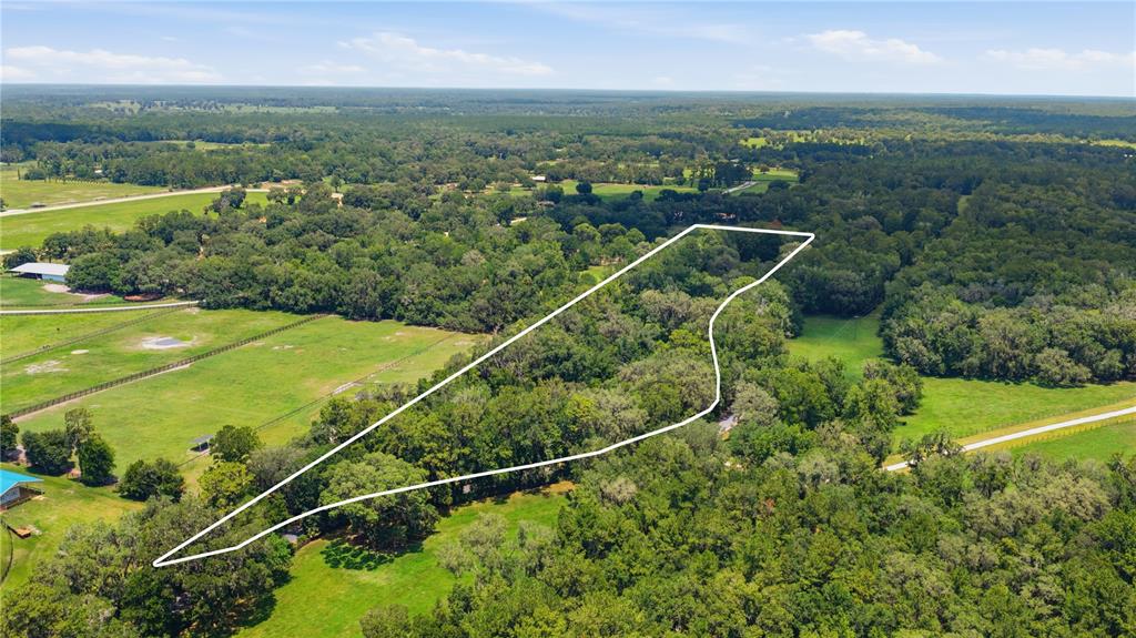 An aerial view shows a wooded plot of land outlined in white amidst grassy fields — 17400 NW 120TH AVE ROAD, REDDICK, FL