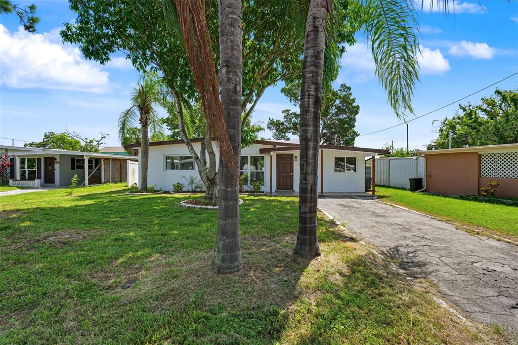A single-story white house features a brown front door, a driveway, and several palm trees — 7377 ROYAL PALM DRIVE, NEW PORT RICHEY, FL