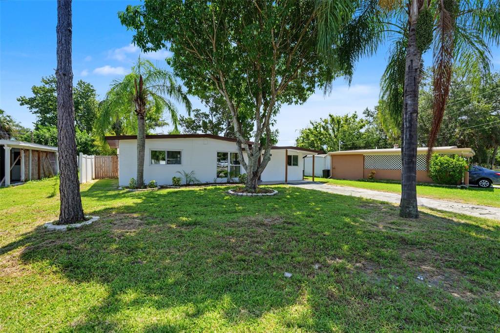 A single-story white house with a flat roof, a front lawn, and several tall trees — 7377 ROYAL PALM DRIVE, NEW PORT RICHEY, FL