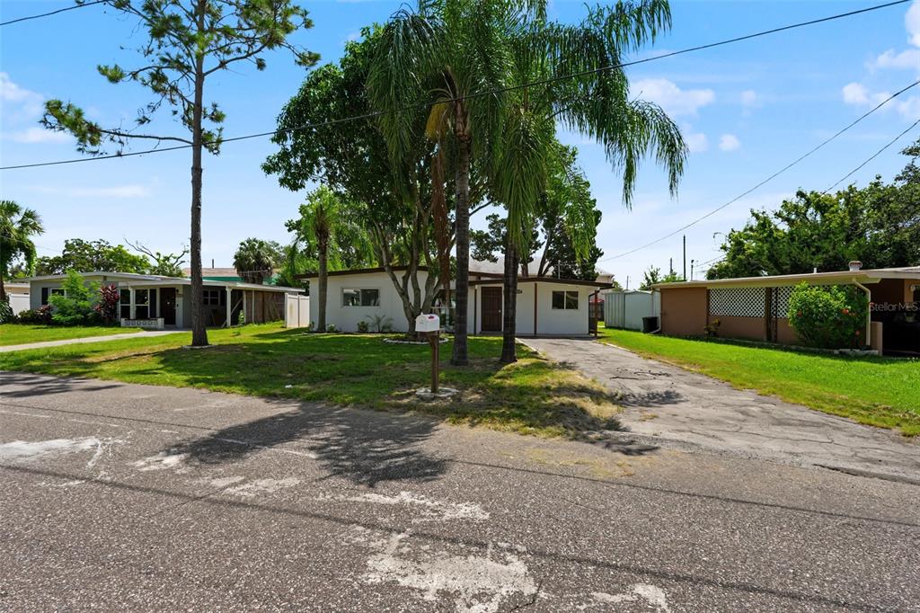 A single-story house with a palm tree in the front yard and a paved driveway — 7377 ROYAL PALM DRIVE, NEW PORT RICHEY, FL