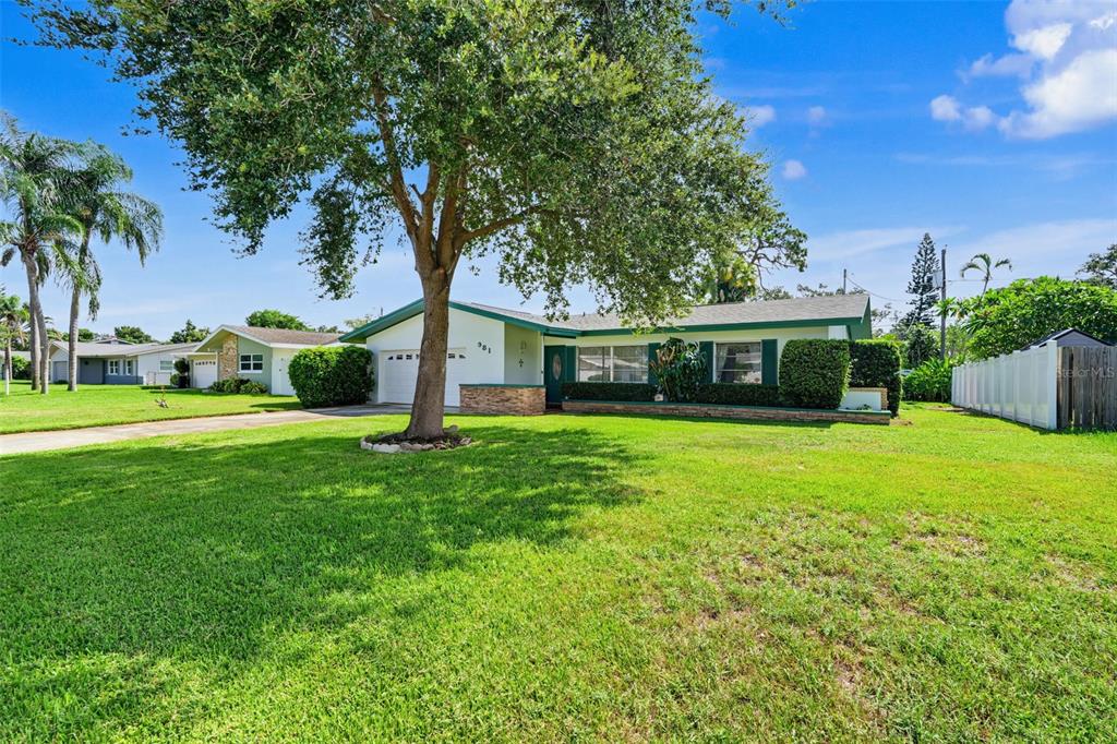 A single-story house with a green roof, white exterior, and a large tree in front — 981 STEPHEN FOSTER DRIVE, LARGO, FL